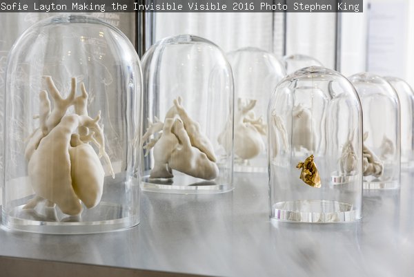 An artwork comprised of replica human hearts contained within glass bell jars