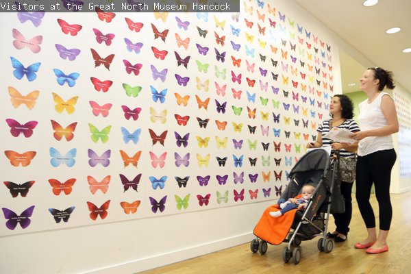 Two women look towards the Butterfly Wall at the Great North Museum