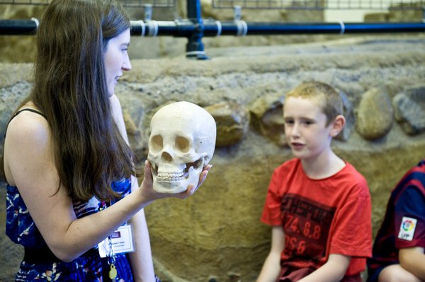 A boy looks on as a museum educator at Arbeia Roman Fort explains a model of a human skull